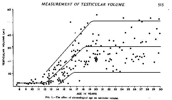 Normal Uterus Size Chart | Kemele